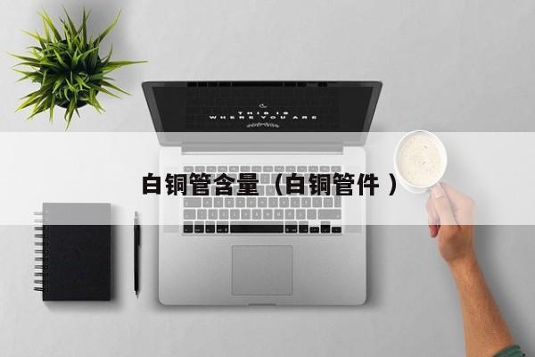 白銅管含量（白銅管件 ）